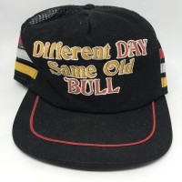 Vintage Different Day Same Bull Snapback Trucker Hat Cap 70s 80s USA STRIPES  eb-74551461